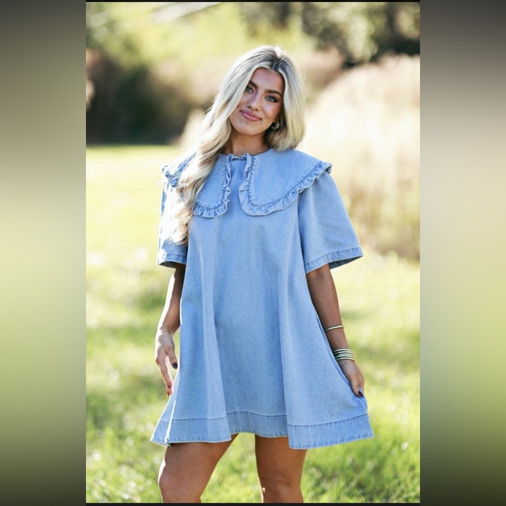 Mable Denim Collar Dress